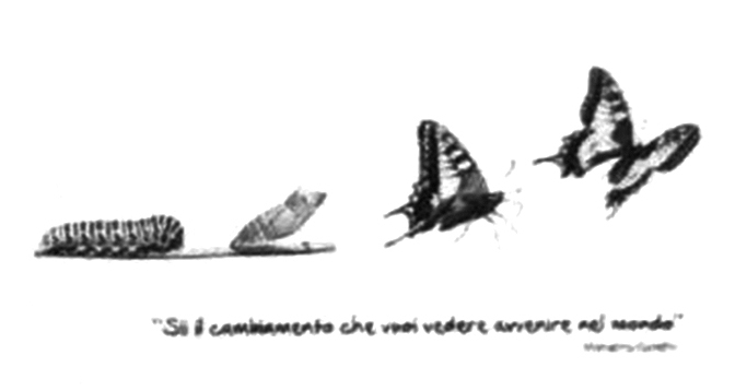 corso-ginnastica-armonia